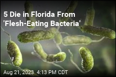 &#39;Flesh-Eating Bacteria&#39; Kills 5 in Florida