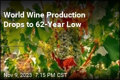 World Wine Production Drops to 62-Year Low