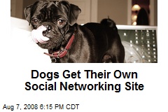 Dogs Get Their Own Social Networking Site