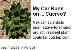 My Car Runs on ... Cuervo?