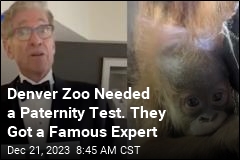 Denver Zoo Needed a Paternity Test. They Got a Famous Expert