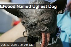 Elwood Named Ugliest Dog