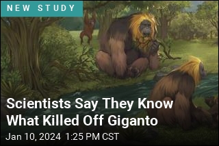 Scientists Say They Know What Killed Off Giganto