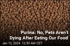 Purina Pushes Back on TikTok Rumors of Pet Deaths