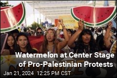 In Pro-Palestinian Protests, a Fruit Takes Center Stage