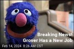 Breaking News! Grover Has a New Job