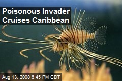 Poisonous Invader Cruises Caribbean