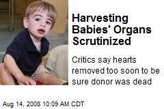 Harvesting Babies' Organs Scrutinized