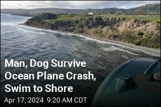 Man, Dog Survive Ocean Plane Crash, Swim to Shore