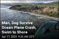 Man, Dog Survive Ocean Plane Crash, Swim to Shore