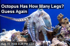 Octopus Has How Many Legs? Guess Again