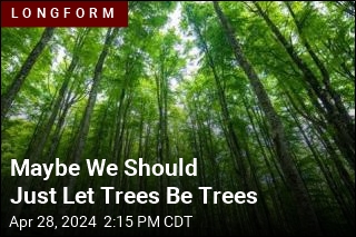 Have We Gone Overboard on Trees?