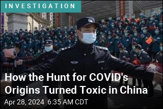 How the Hunt for COVID&#39;s Origins Turned Toxic in China