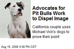 Advocates for Pit Bulls Work to Dispel Image