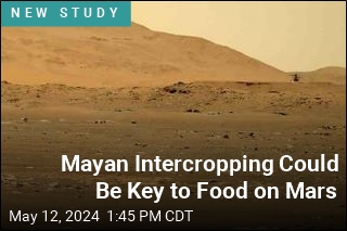 Mayan Intercropping Could Be Key to Food on Mars