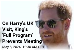 On Harry&#39;s UK Visit, King&#39;s &#39;Full Program&#39; Prevents a Meeting