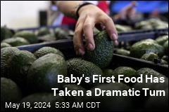 We&#39;re Raising a Nation of Avocado Eaters