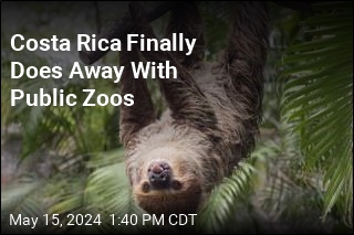 Costa Rica Finally Does Away With Public Zoos