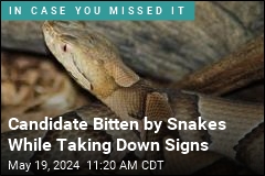 Candidate Says Snake Bites Worse Than Losing Election