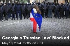 Georgia&#39;s President Blocks Protested Media Legislation