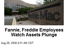 Fannie, Freddie Employees Watch Assets Plunge