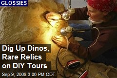 Dig Up Dinos, Rare Relics on DIY Tours