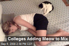 Colleges Adding Meow to Mix