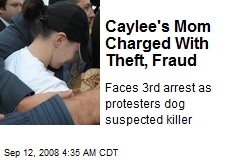 Caylee's Mom Charged With Theft, Fraud
