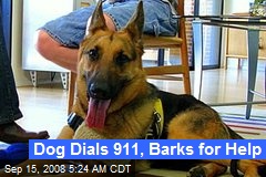 Dog Dials 911, Barks for Help