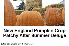 New England Pumpkin Crop Patchy After Summer Deluge