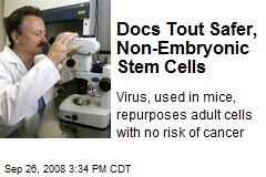Docs Tout Safer, Non-Embryonic Stem Cells