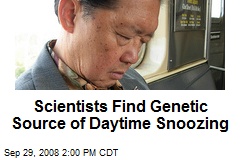 Scientists Find Genetic Source of Daytime Snoozing