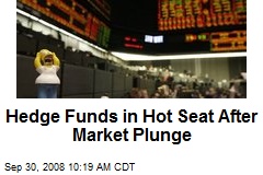 Hedge Funds in Hot Seat After Market Plunge