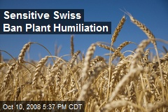 Sensitive Swiss Ban Plant Humiliation