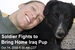 Soldier Fights to Bring Home Iraq Pup