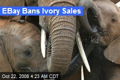 EBay Bans Ivory Sales