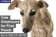 Vote Greyhound for First Pooch