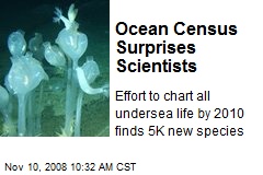 Ocean Census Surprises Scientists