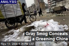 Gray Smog Conceals a Greening China
