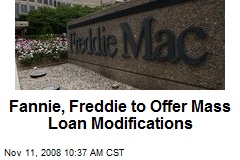 Fannie, Freddie to Offer Mass Loan Modifications