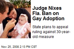 Judge Nixes Fla. Ban on Gay Adoption