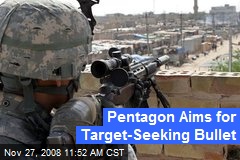 Pentagon Aims for Target-Seeking Bullet