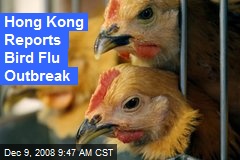 Hong Kong Reports Bird Flu Outbreak