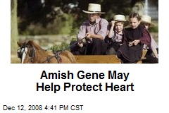Amish Gene May Help Protect Heart