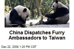 China Dispatches Furry Ambassadors to Taiwan