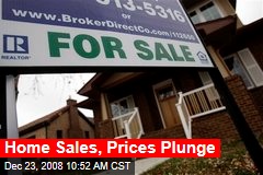 Home Sales, Prices Plunge