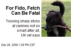 For Fido, Fetch Can Be Fatal