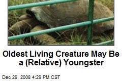 Oldest Living Creature May Be a (Relative) Youngster