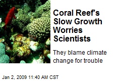 Coral Reef's Slow Growth Worries Scientists