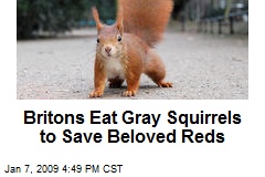 Britons Eat Gray Squirrels to Save Beloved Reds
